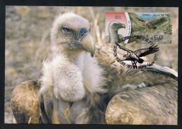 ISRAEL (2009) Carte Maximum Card ATM AMIEL - Gyps Fulvus, Griffon Vulture, Vautour Fauve, Buitre Leonado - Bird, Oiseau - Tarjetas – Máxima