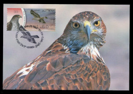 ISRAEL (2009) Carte Maximum Card ATM AMIEL - Hieraaetus Fasciatus, Bonelli's Eagle, Aquila Fasciata, Aigle, Águila - Tarjetas – Máxima