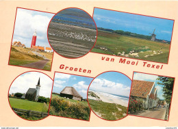 CPSM Texel                                                     L2723 - Texel