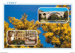 CPSM Ceret                                      L2713 - Ceret