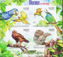 2012. BURUNDI. Nature Protection. OISEAUX SUR LISTE ROUGE. Sheet With 4 IMPERFOR... (Michel 2575-2580 IMPERF) - JF546885 - Unused Stamps