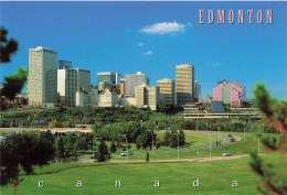 CANADA - Edmonton - Alberta - Canada - Lush Park Land In The North Saskatchewan River Valley - Carte Postale - Edmonton