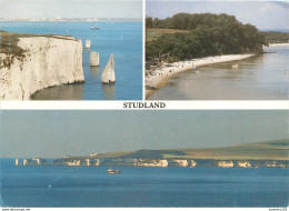 CPSM Studland                                                                         L2703 - Other & Unclassified