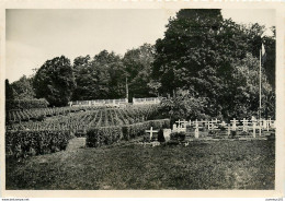 CPSM Altkirch-CimetiÃ¨re                        L2683 - Altkirch