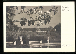 Foto-AK Max Baur, Es Blüht In Sanssouci - Altri & Non Classificati