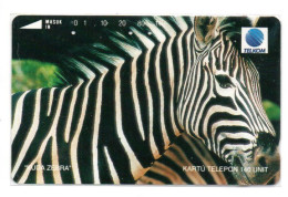 Zèbre Zébra  Animal Jungle Télécarte Telkom Indonésie  Phonecard ( T 316) - Indonesië