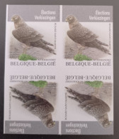 België Belgium 2024 - Dieren Vogels Buzin  Blauwe Kiekendief / Circus Cyaneus / Animals Birds - Hen Harrier Block Of 4 - Neufs