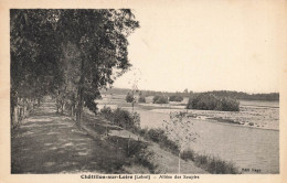 Châtillon Sur Loire * Allée Des Soupirs - Chatillon Sur Loire