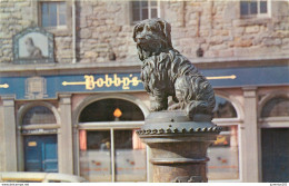 CPSM Edinburgh-Greyfriars Bobby                                                    L2661 - Midlothian/ Edinburgh