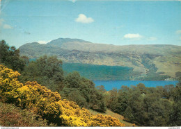 CPSM Loch Lomond And Loch Ben Lomond                                                   L2661 - Dunbartonshire