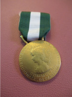 Médaille Française/R F /Ancienneté/OR /  Communale-Régionale-Départementale/J. VIVES/ 1995    MED527 - Sonstige & Ohne Zuordnung
