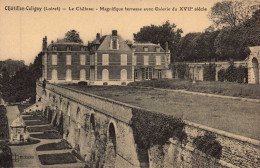 45 , Cpa  CHATILLON COLIGNY , Le Chateau , Magnifique Terrasse Avec Galerie Du XVII° Siècle (16017) - Chatillon Coligny