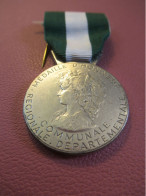 Médaille Française/R F /Ancienneté/ARGENT /  Communale-Régionale-Départementale/J.SCOLARI/ 1994    MED526 - Autres & Non Classés