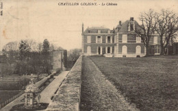 45 , Cpa  CHATILLON COLIGNY , Le Chateau (16025) - Chatillon Coligny