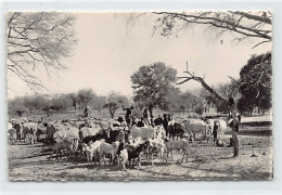 Niger - NIAMEY - Troupeau Dans La Brousse - Ed. Souchette 2255 - Níger