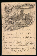 Vorläufer-Lithographie Ganzsache PP9F240: Cunewalde, 1895, Gasthaus Czorneboh  - Postkarten