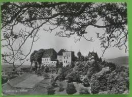 Lenzburg (AG)  - Schloss - Lenzburg