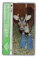 Chevreau Veau Animal Télécarte Royaume-Uni -  BT British  Phonecard  ( T 325) - BT Algemene Uitgaven