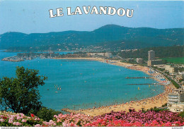 CPSM Le Lavandou                   L2603 - Le Lavandou