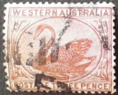 Australie Occidentale Western Australia 1885 Dentelé Perfin 14 Filigrane Couronne CA Watermark Crown CA Yvert 34 O Used - Oblitérés