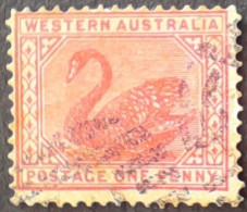 Australie Occidentale Western Australia 1902 Dentelé 12-12,5 Filigrane Couronne V Watermark Crown V Yvert 62 O Used - Swans