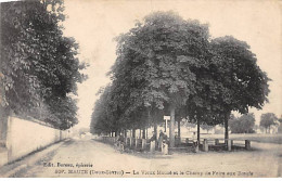 MAUZE - Le Vieux Mauzé Et Le Champ De Foire Aux Boeufs - Très Bon état - Mauze Sur Le Mignon