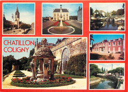 45 - Chatillon-Coligny - Multivues - CPM - Voir Scans Recto-Verso - Chatillon Coligny