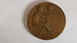 RARE Médaille Groupement Scolaire De Schaerbeek XV Anniversaire 1920 1935 - Sonstige & Ohne Zuordnung