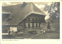 70106231 Bernau Schwarzwald Bernau Hans Thoma Haus   Bernau - Bernau