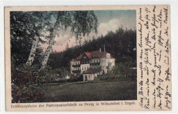 39033871 - Wilischthal Mit Erholungsheim Der Patentpapierfabrik Zu Penig Gelaufen Von 1929. Leicht Stockfleckig, Sonst  - Burgstaedt