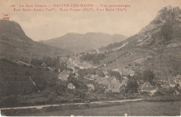 SALINS Les BAINS (Jura) JC Autun Vue Panoramique - Arbois