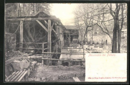 AK Dresden-Pillnitz, Meixmühle Mit Terrasse - Pillnitz