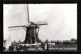 AK Maassluis, Molen Aan Wipperskade  - Maassluis