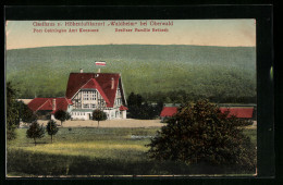 AK Oberwald, Blick Auf Gasthaus Waldheim  - Oberwald