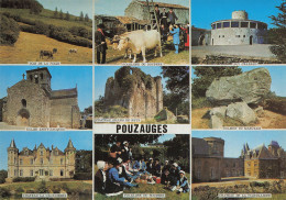 85  POUZAUGES  - Pouzauges