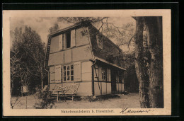 AK Bissendorf, Blick Auf Das Naturfreundeheim  - Bissendorf