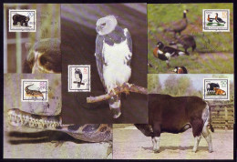 2952-2956 Tiere II 1985, Amtliche MK 5-9/85 - Maximum Cards