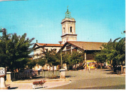 CPSM MARSEILLAN Marche Eglise - Marseillan