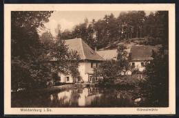 AK Waldenburg /Sa., Flusspartie Mit Glänzelmühle  - Waldenburg (Sachsen)