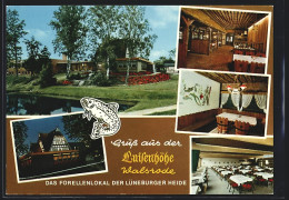 AK Walsrode /Lüneburger Heide, Restaurant Luisenhöhe - Walsrode