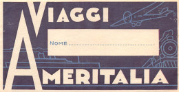 00182 "VIAGGI AMERITALIA" ETICHETTA ORIG.  DA VALIGIA - Autres & Non Classés