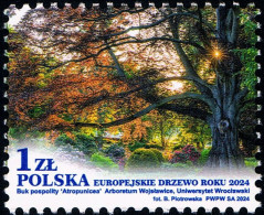 POLAND 2024 FLORA Nature. Plants. European Tree Of The Year - Fine Stamp MNH - Ungebraucht