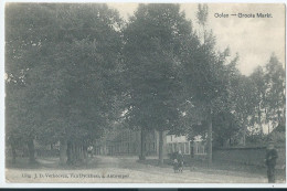 Olen - Oolen - Groote Markt  - Olen