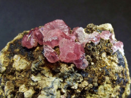 Rhodochrosite On Matrix (  4 X 3.5 X 3 Cm) -  Uchucchacua Mine - Lima - Peru - Minerali