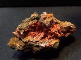 Crocoite ( 5 X 3 X 2.5 Cm) - Red Lead Mine - Tasmania - Australia - Mineralen