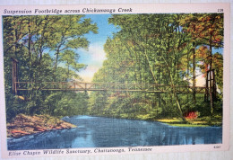 United States Tennesse Chattanooga Suspension Footbridge Acress Chickmauga Creek - Chattanooga