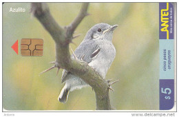 URUGUAY - Bird, Azulito(126a), 06/00, Used - Otros & Sin Clasificación