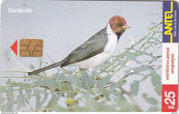 URUGUAY - Bird, Cardenilla(132a), 08/00, Used - Other & Unclassified