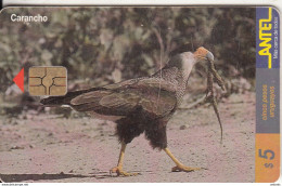 URUGUAY - Bird, Carancho(110a), 03/00, Used - Other & Unclassified