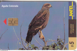 URUGUAY - Bird, Aguila Colorada(109a), 03/00, Used - Aquile & Rapaci Diurni